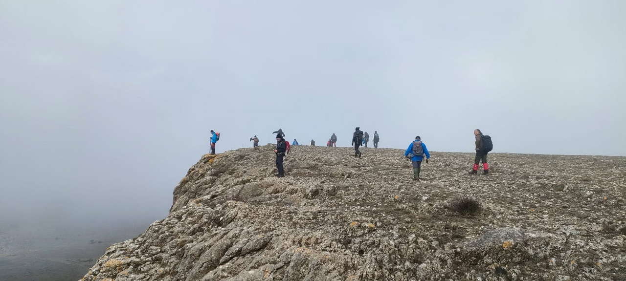 WhatsApp Image 2026-02-10 at 14.47.45 (3)